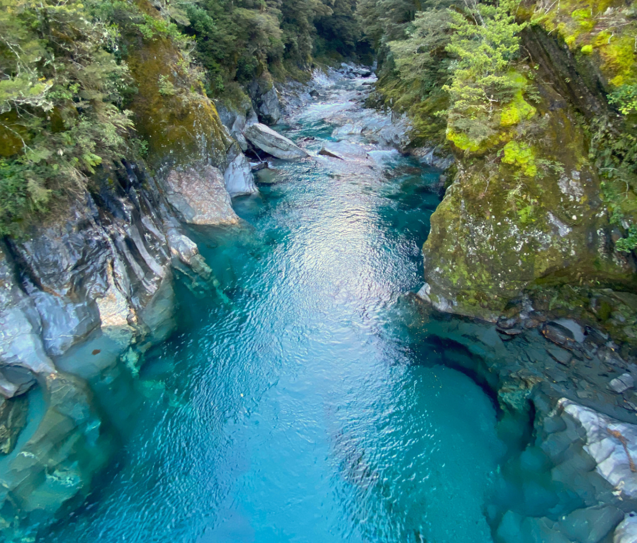 Makarora River